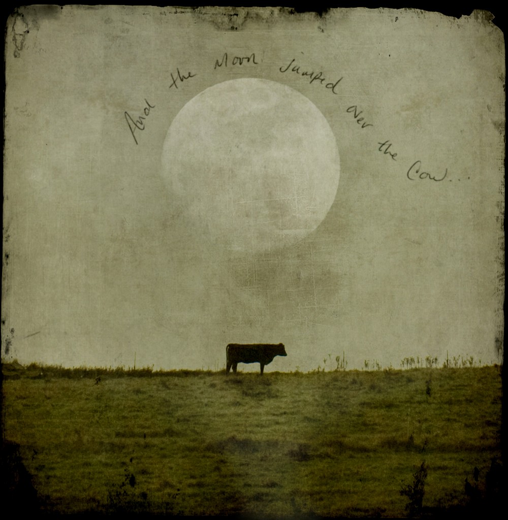 The moon and the cow...